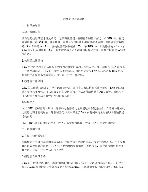 核酸知识点总结图