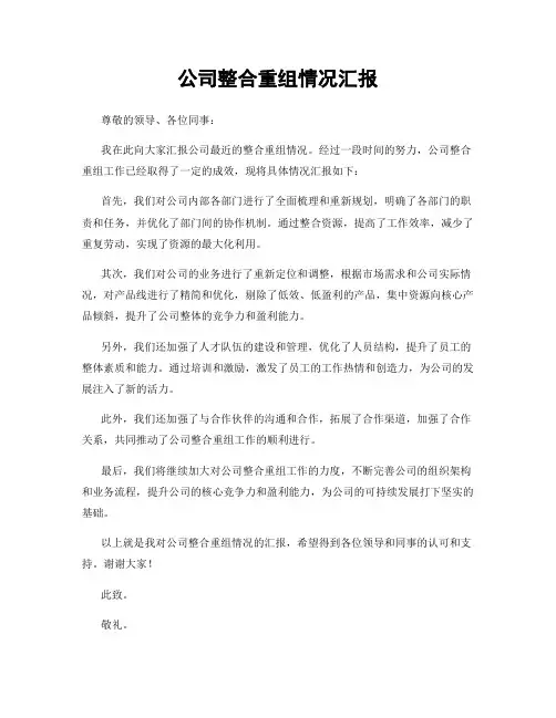 公司整合重组情况汇报