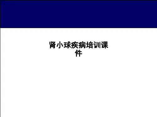肾小球疾病培训课件