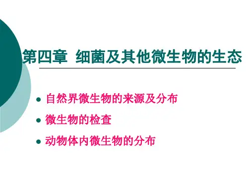 第四章细菌及其他微生物的生态.