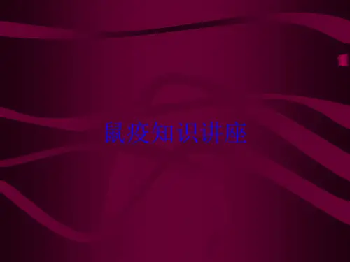 鼠疫知识讲座培训课件