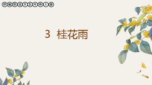 部编版五年级语文上册第3课《桂花雨》教学课件
