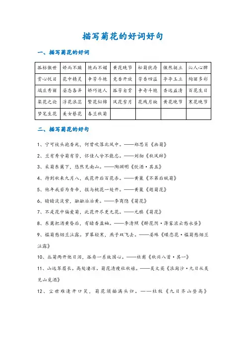 形容菊花的词语 4个字