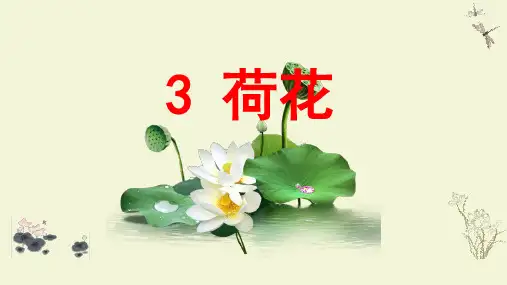 3.《荷花》课件(共38张PPT)