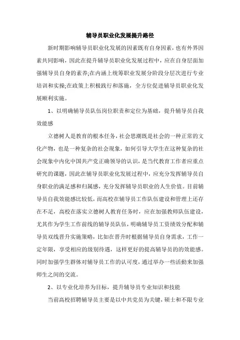 辅导员职业化发展提升路径
