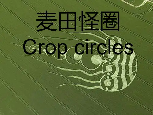 麦田怪圈中英文