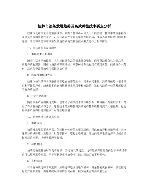 桂林市油茶发展趋势及高效种植技术要点分析