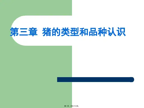 猪的类型与品种认识解读学习