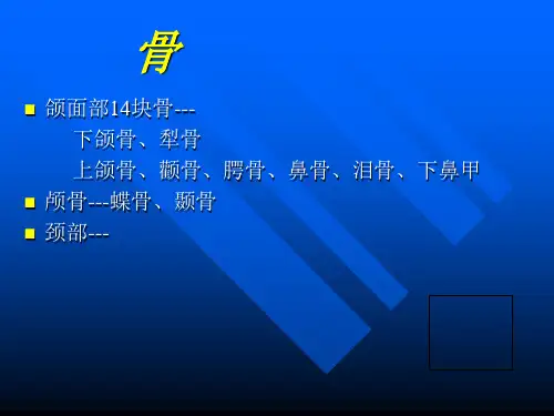 六部分口腔颌面系统解剖PPT课件
