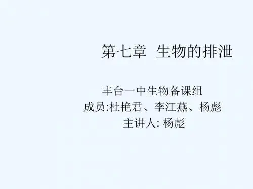 北京版生物七下第七章《生物的排泄》ppt课件