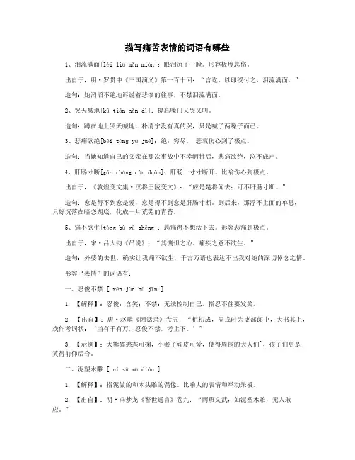 描写痛苦表情的词语有哪些