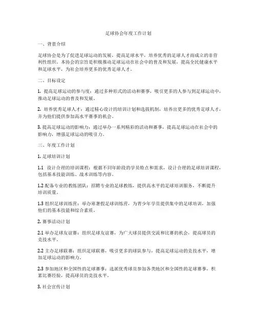 足球协会年度工作计划