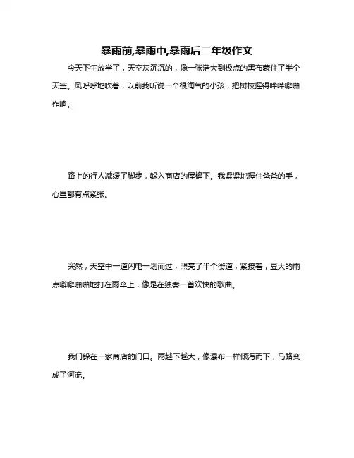 暴雨前,暴雨中,暴雨后二年级作文