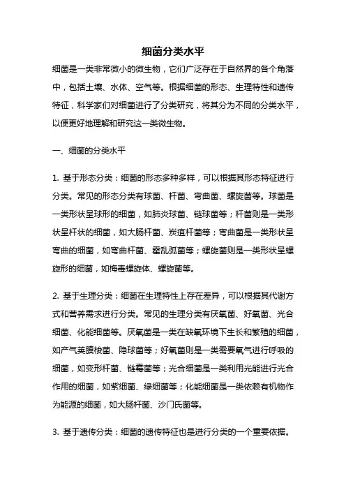 细菌分类水平