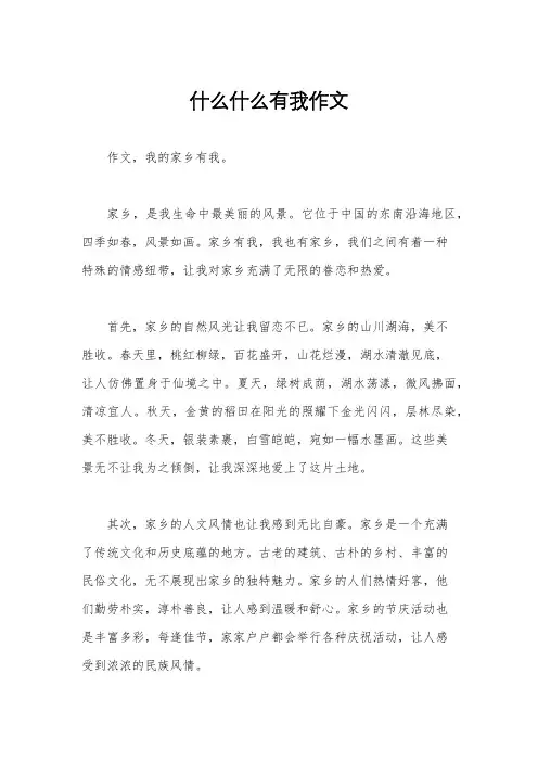 什么什么有我作文