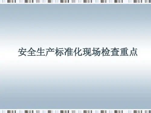 安全生产标准化现场检查重点