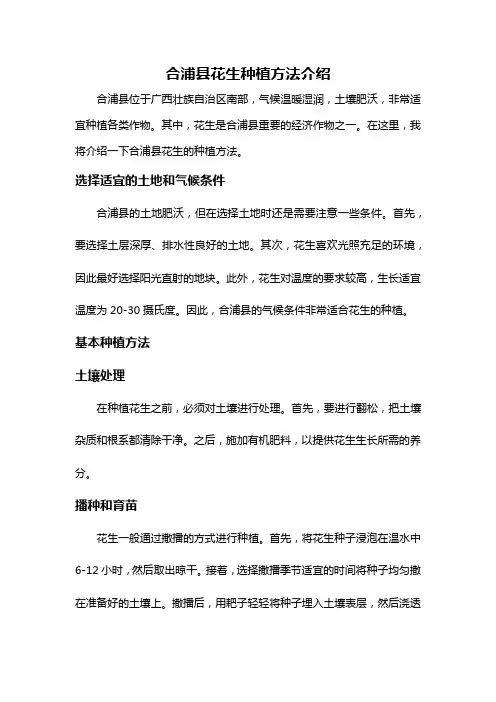 合浦县花生种植方法介绍