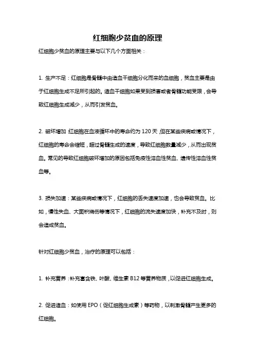 红细胞少贫血的原理