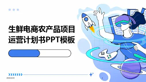2024年度生鲜电商农产品项目运营计划书PPT模板