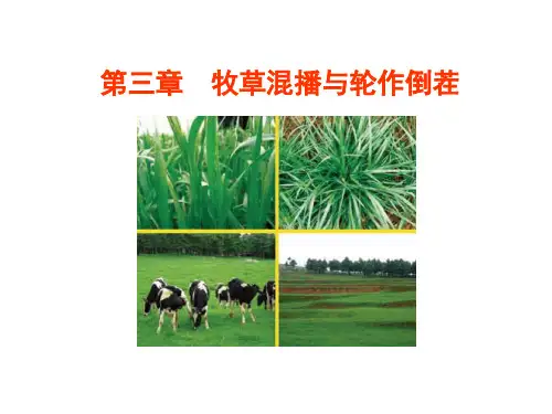 第三章  牧草混播与轮作倒茬