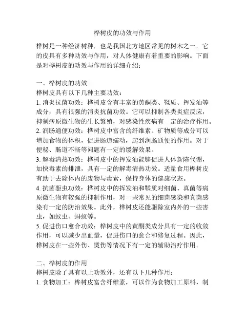 桦树皮的功效与作用