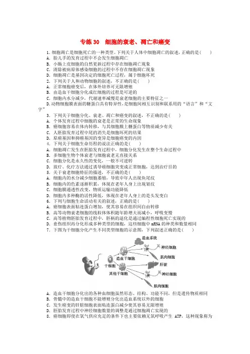 统考版2024版高考生物一轮复习微专题小练习专练30细胞的衰老凋亡和癌变