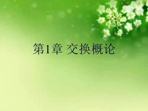 第1章 交换概论优秀课件