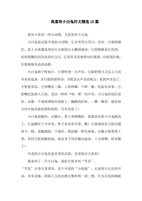 我喜欢小白兔作文精选15篇精选