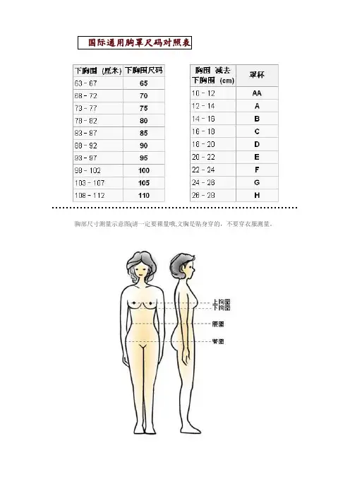 国际通用胸罩尺码对照表及其他