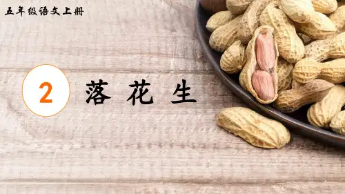 《落花生》精品课件(第二课时)