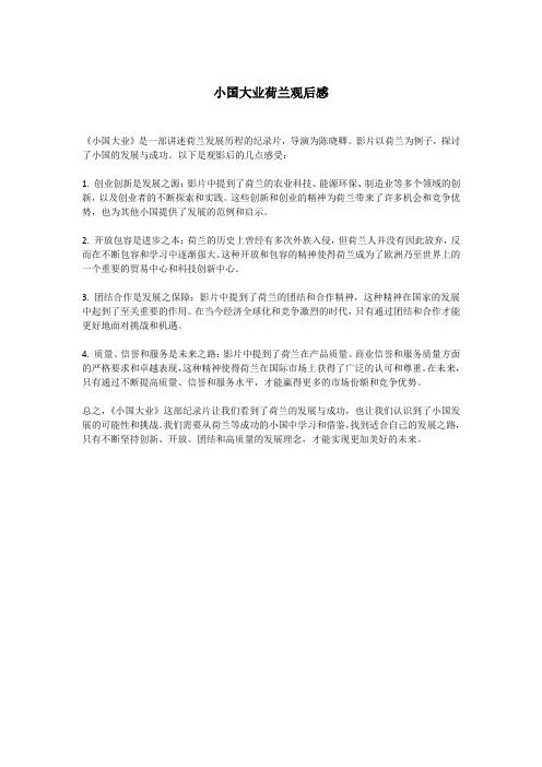 小国大业荷兰观后感