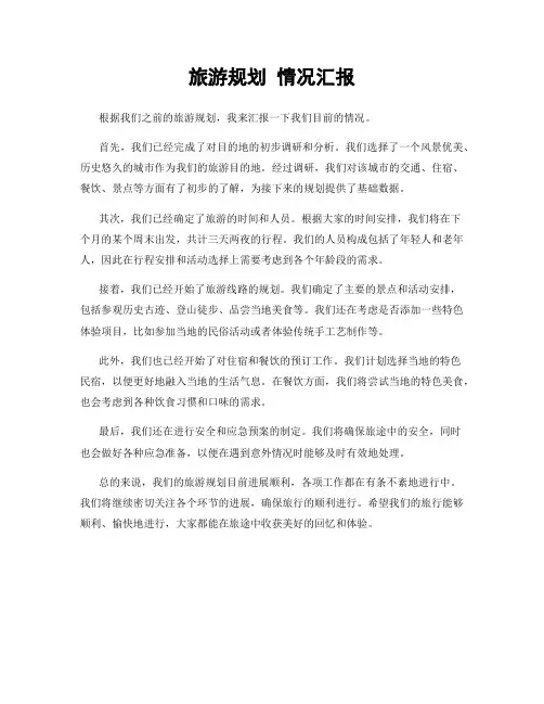 旅游规划 情况汇报