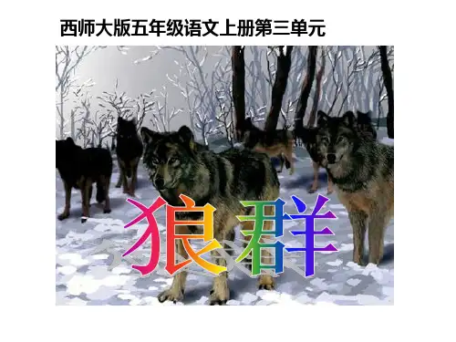 《狼群》  优秀PPT课件