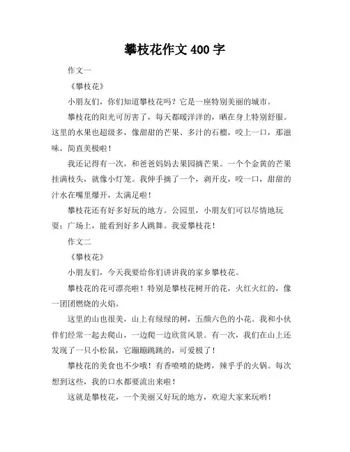 攀枝花作文400字