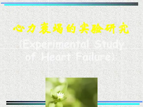心力衰竭衰竭的实验研究PPT课件
