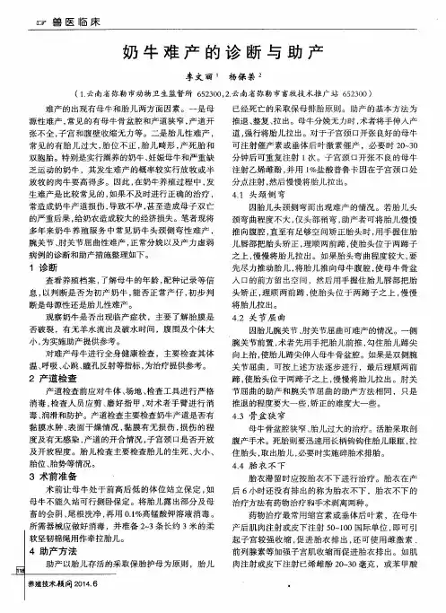 奶牛难产的诊断与助产