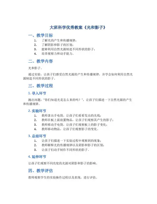 大班科学优秀教案《光和影子》_2