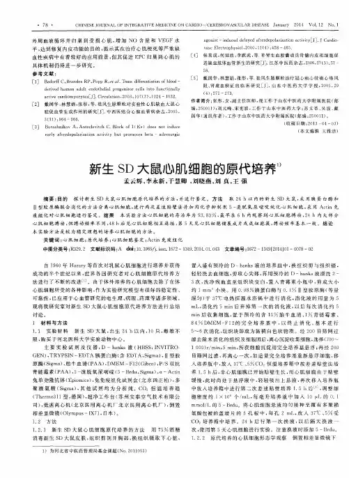 新生SD大鼠心肌细胞的原代培养