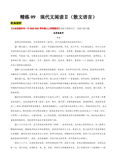 精练09  现代文阅读Ⅱ(散文语言) (解析版)-备战2021年高考语文大题精做(新高考专用)