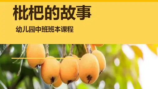 《枇杷的故事》幼儿园班本课程PPT课件
