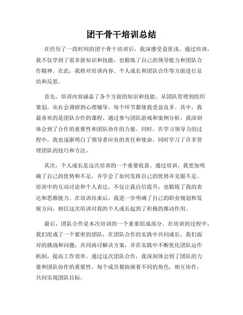 团干骨干培训总结