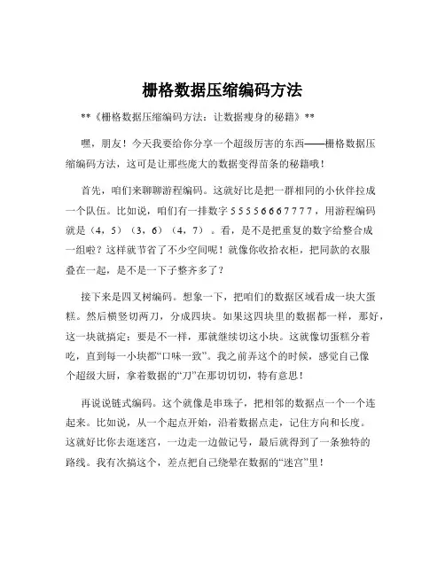 栅格数据压缩编码方法