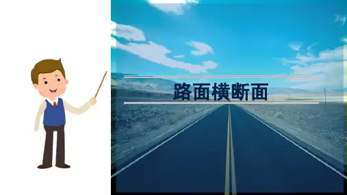 路面结构组成 路面横断面
