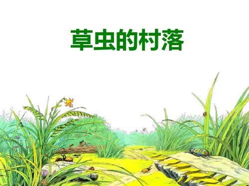 《草虫的村落》ppt课件完美版