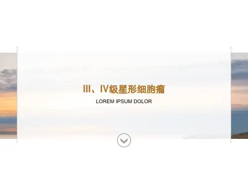 III～IV级星形细胞瘤