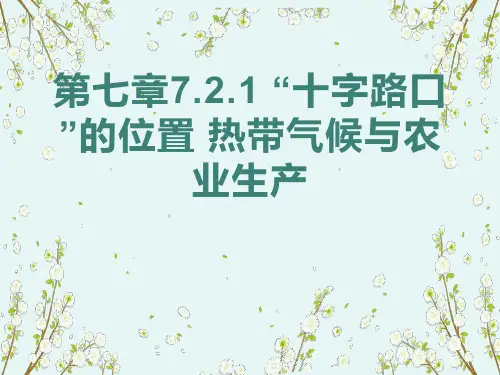 东南亚十字路口位置热带气候和农业生产课件-2023-2024学年人教版七年级地理下册
