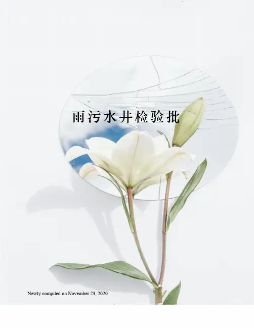 雨污水井检验批