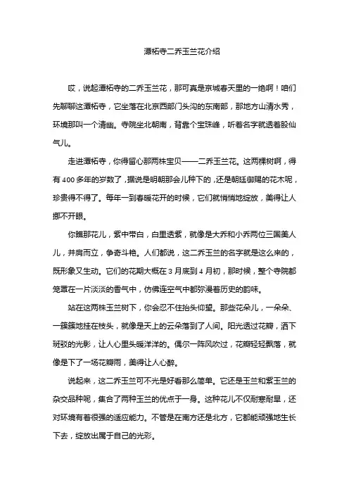 潭柘寺二乔玉兰花介绍