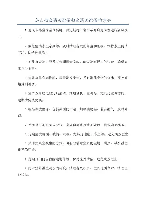 怎么彻底消灭跳蚤彻底消灭跳蚤的方法
