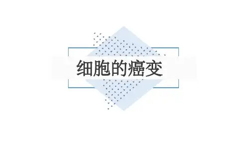 高中生物必修一细胞的癌变(12张PPT)